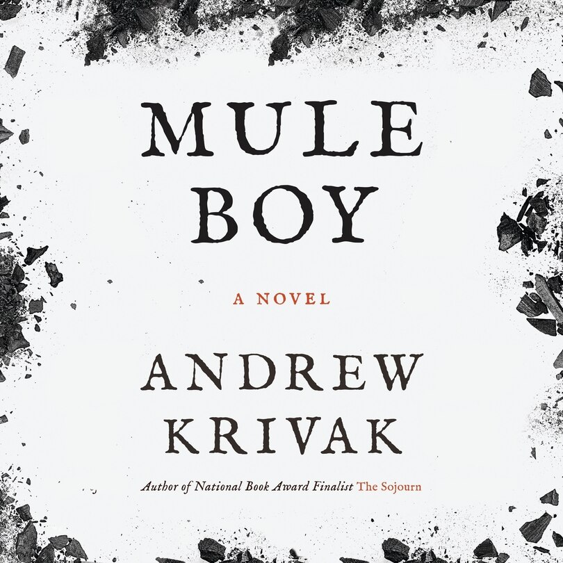 Couverture_Mule Boy