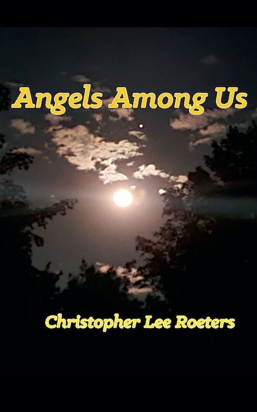 Couverture_Angels Among Us