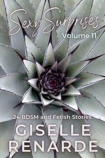 Front cover_Sexy Surprises Volume 11
