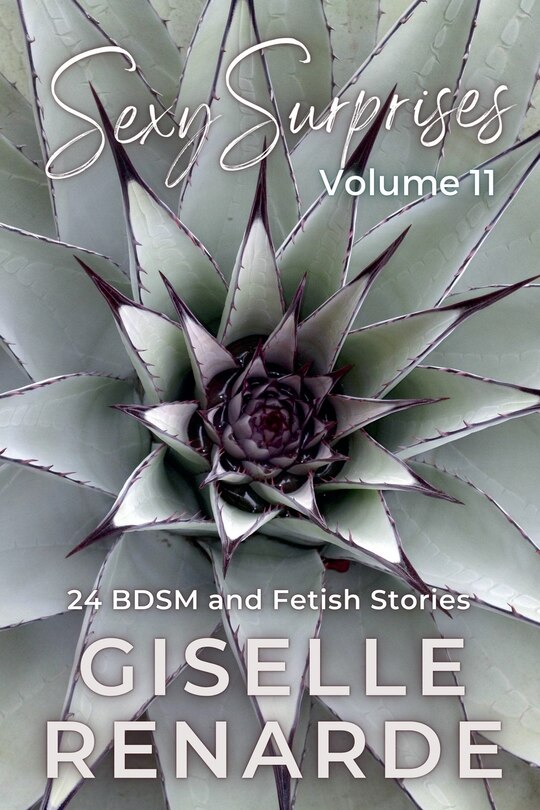 Front cover_Sexy Surprises Volume 11