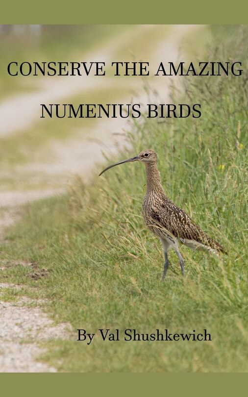 Couverture_Conserve the Amazing Numenius Birds