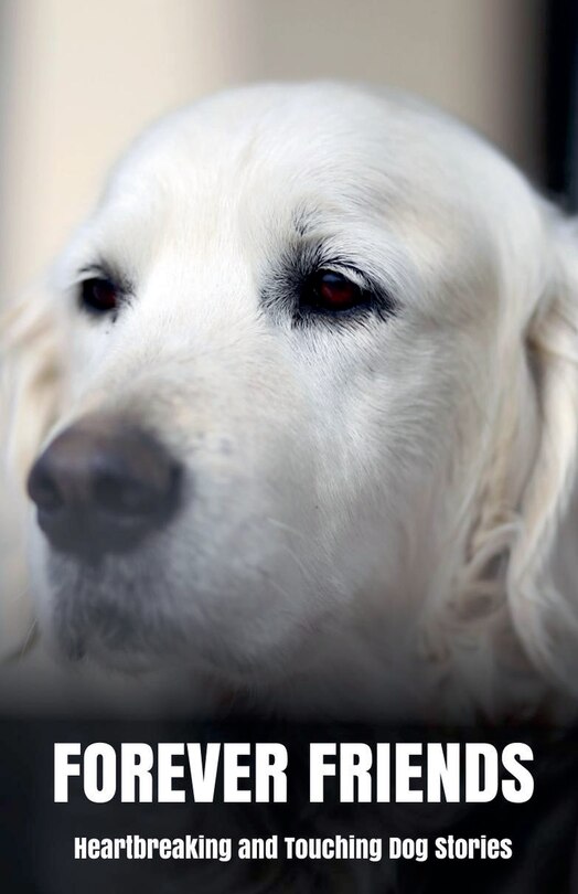 Front cover_Forever Friends