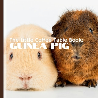 Front cover_The Little Coffee Table Book