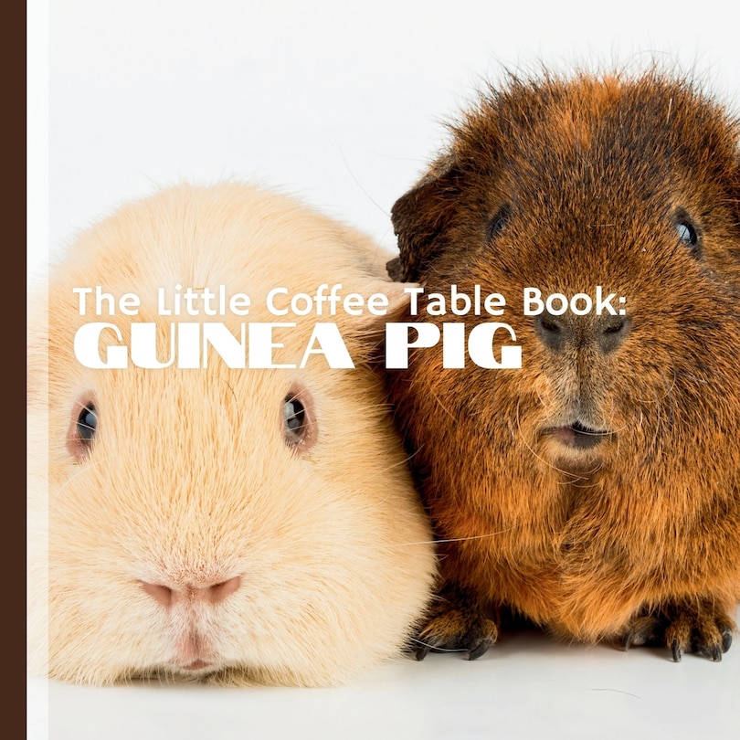 Front cover_The Little Coffee Table Book