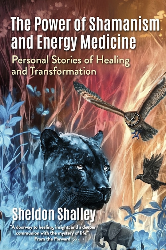 Front cover_The Power of Shamanism and Energy Medicine