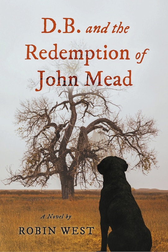 Front cover_D.B. and the Redemption of John Mead