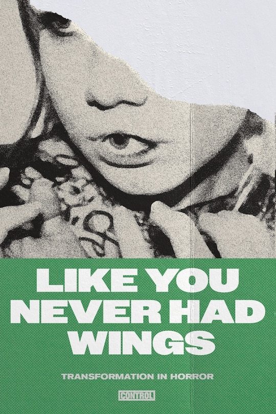 Couverture_Like You Never Had Wings