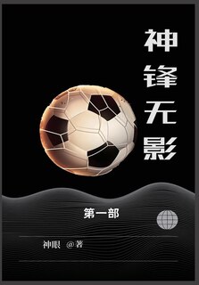 Couverture_神锋无影
