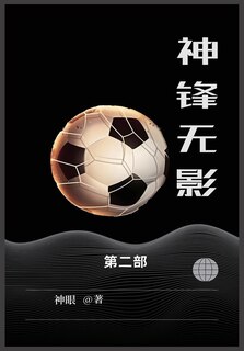 Couverture_神锋无影