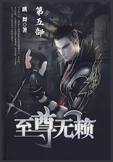 Couverture_至尊无赖：第五部