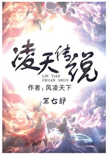 Couverture_凌天传说：第七部
