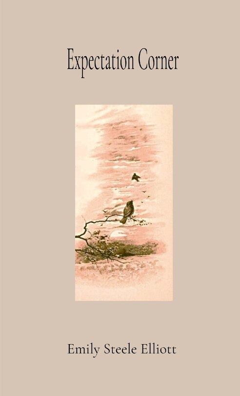Front cover_Expectation Corner ANNOTATED GIFT EDITION