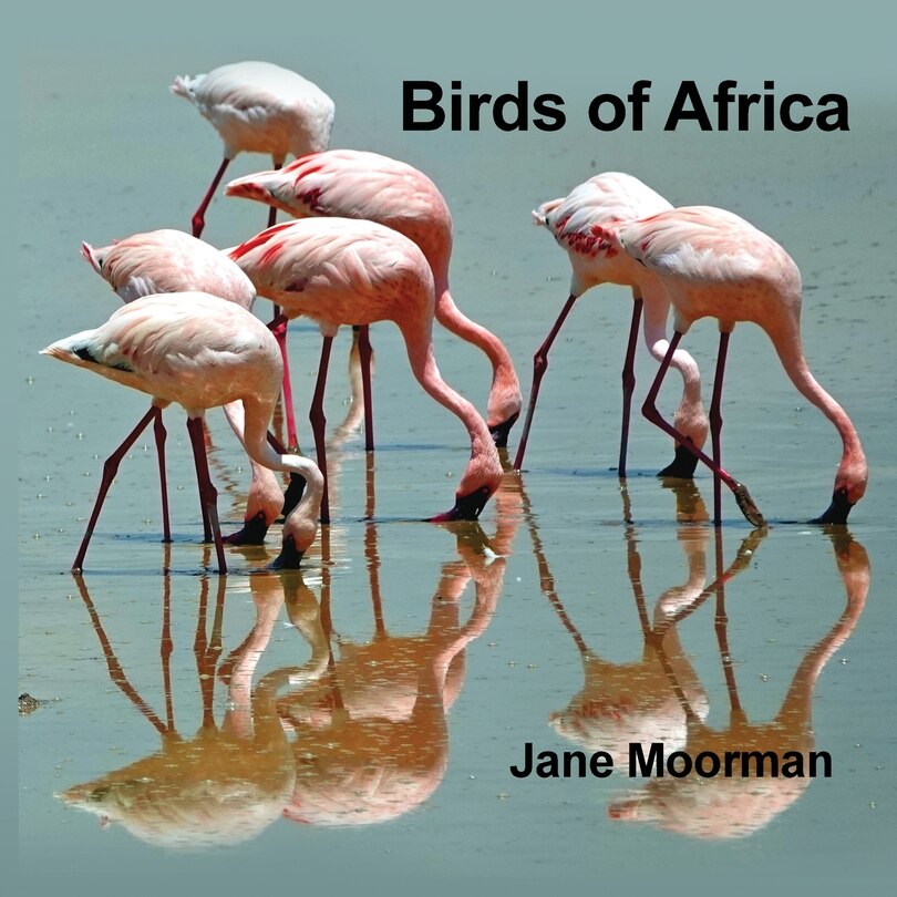 Front cover_Birds of Africa