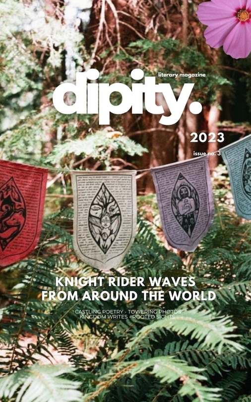 Front cover_Dipity Literary Magazine Issue #3 (Knight Rider Waves)