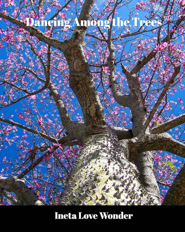 Front cover_Dancing Among the Trees
