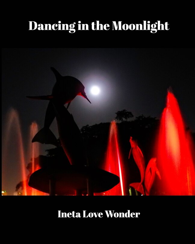 Couverture_Dancing in the Moonlight