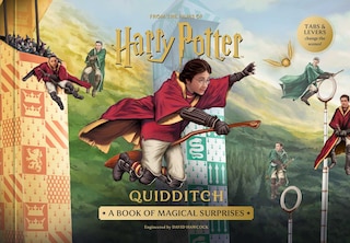 Couverture_Harry Potter: Quidditch