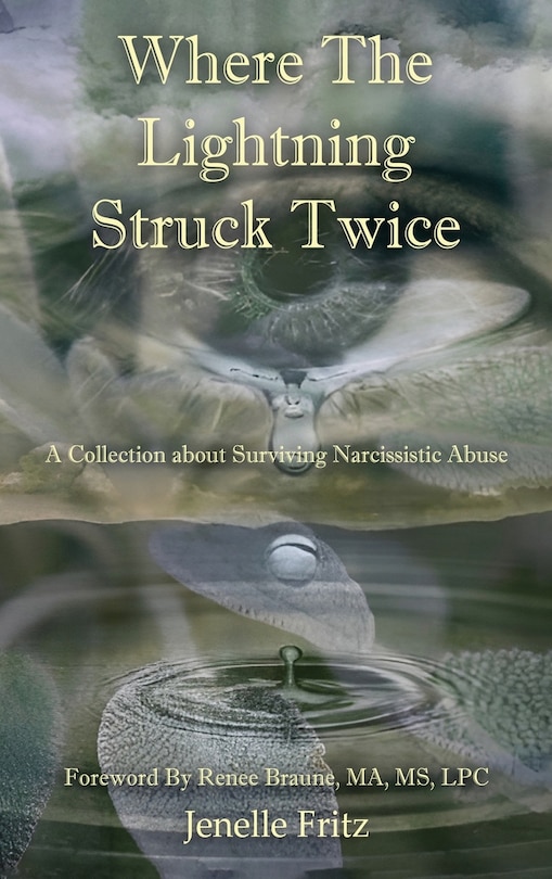 Couverture_Where the Lightning Struck Twice