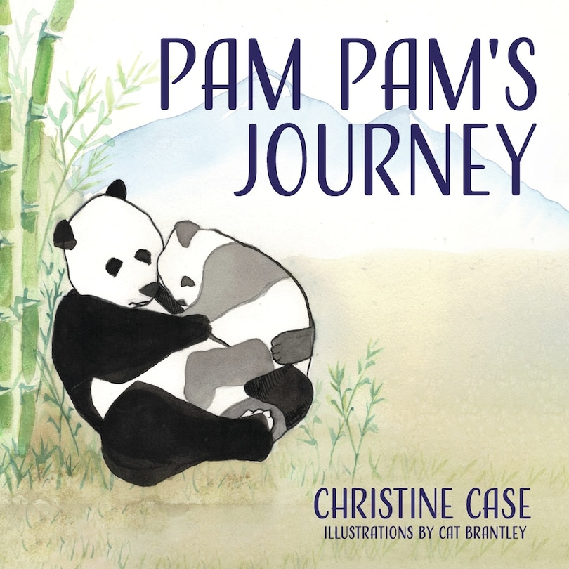 Front cover_Pam Pam's Journey