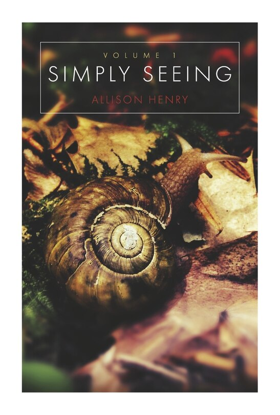 Front cover_Simply Seeing