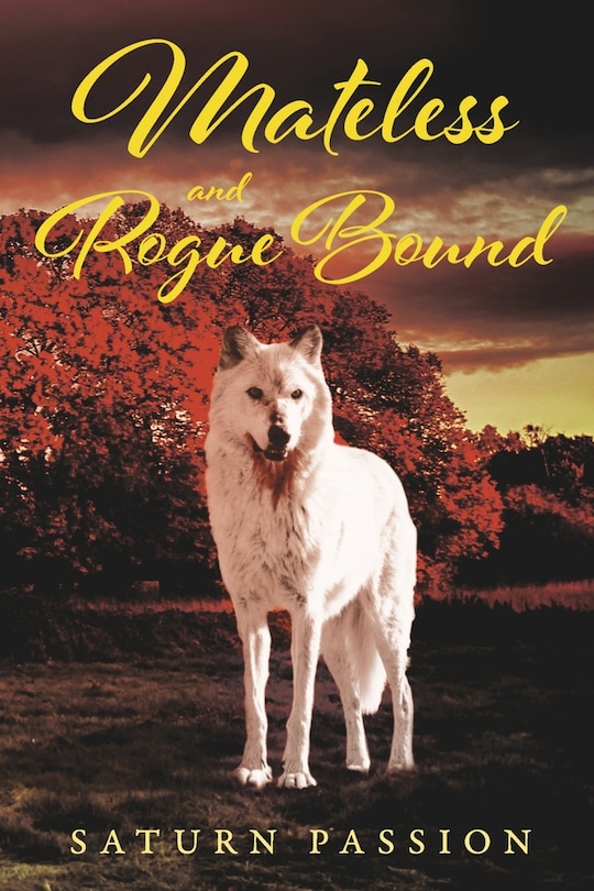 Front cover_Mateless and Rogue Bound