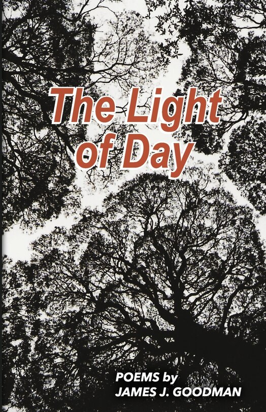 Front cover_The Light of Day
