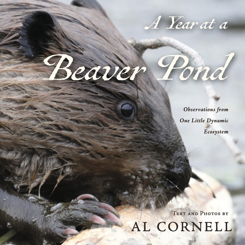 Front cover_A Year at a Beaver Pond