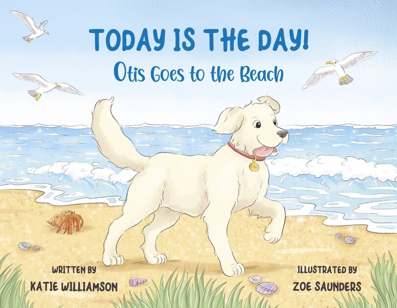 Couverture_Today is the Day!