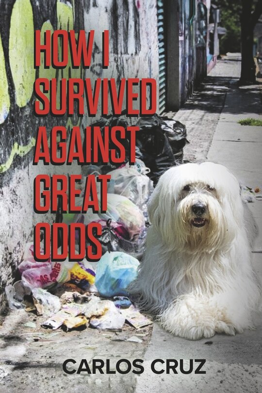 Couverture_How I Survived Against Great Odds