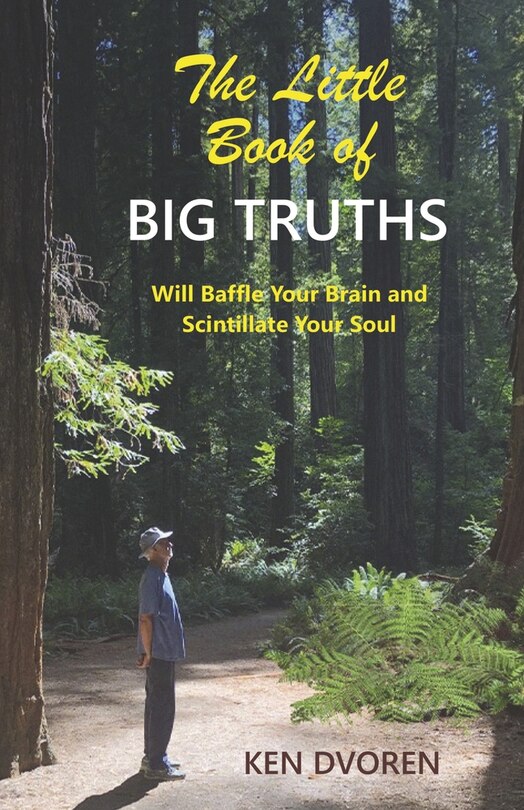 Front cover_The Little Book of Big Truths