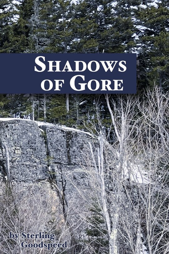 Couverture_Shadows of Gore