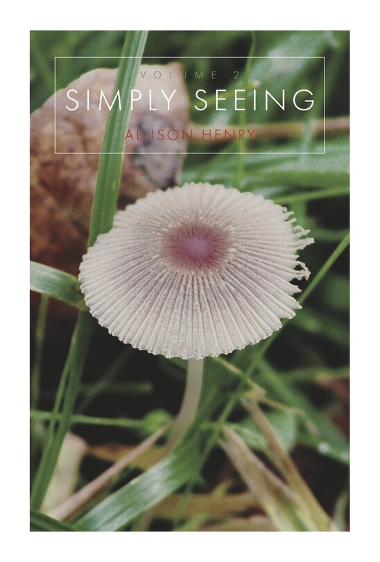 Front cover_Simply Seeing Volume II