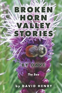Couverture_Broken Horn Valley Stories by Dave
