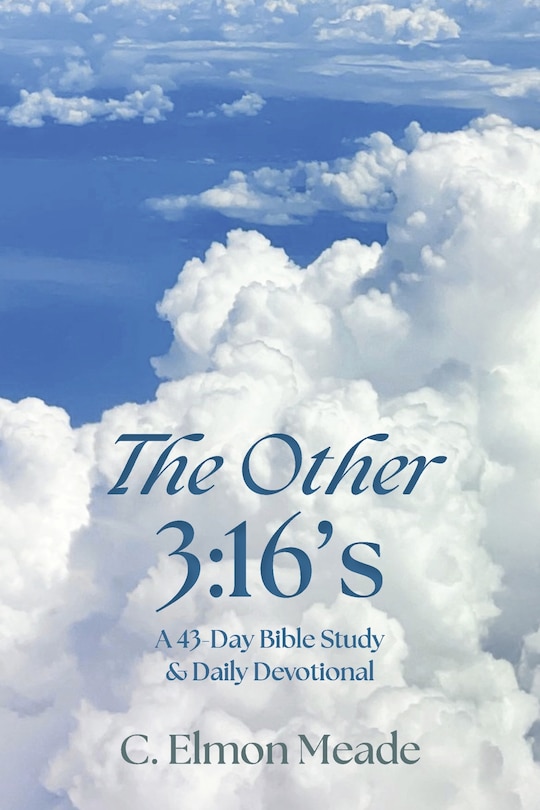 Couverture_The Other 3:16's