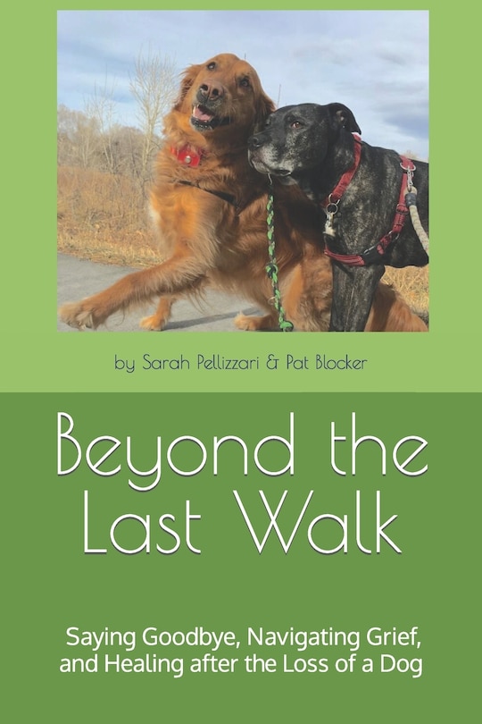 Couverture_Beyond the Last Walk