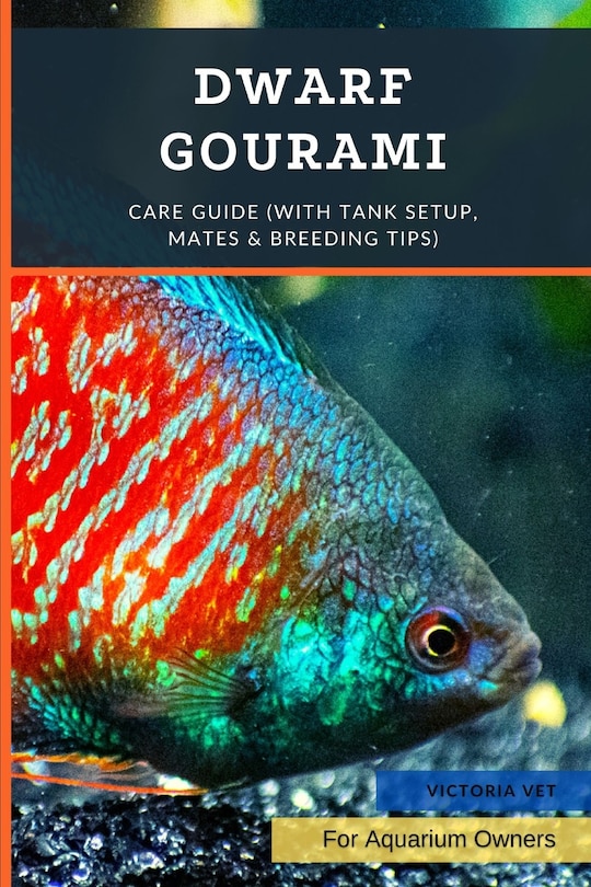 Front cover_Dwarf Gourami