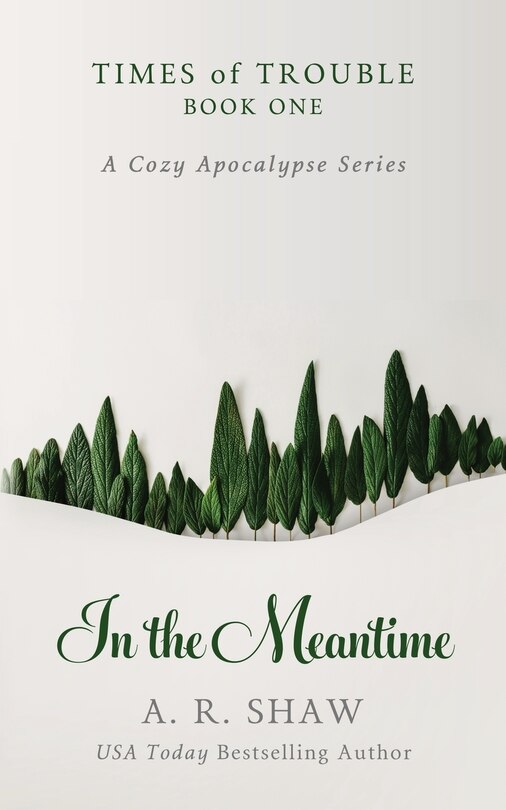 Front cover_In the Meantime
