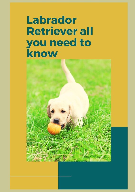 Front cover_How to Train a Labrador Retriever
