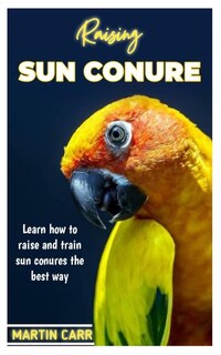 Raising Sun Conure: Learn how to raise and train sun Conure the best way