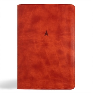 Front cover_CSB Church Bible, Anglicised Edition, British Tan LeatherTouch