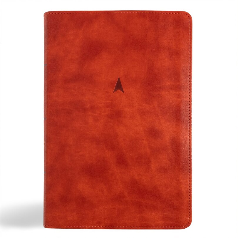 Front cover_CSB Church Bible, Anglicised Edition, British Tan LeatherTouch