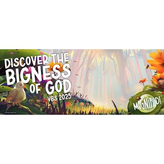 Couverture_VBS 2025 Promotional Banner