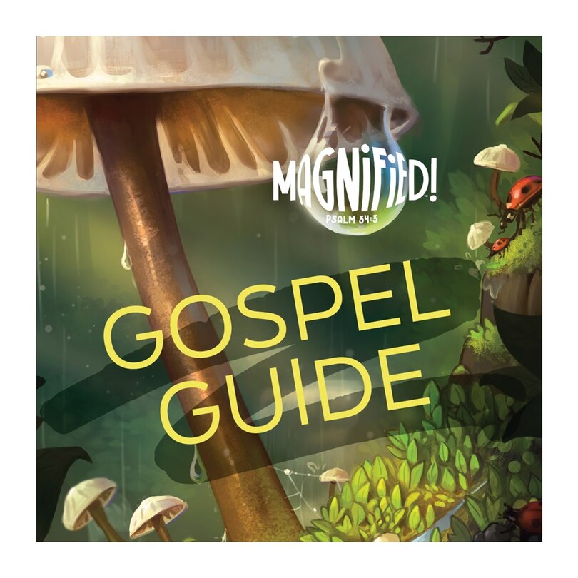 Front cover_VBS 2025 Gospel Guide (Package of 20)