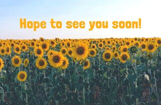 Couverture_Visitor Postcard: Hope to See You (Package of 25)
