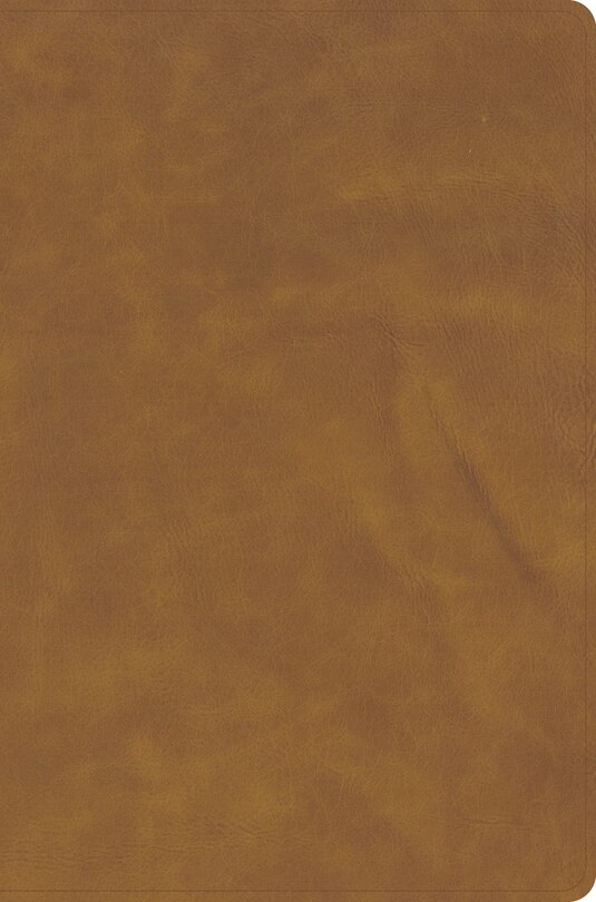 Front cover_NASB Large Print Thinline Bible, Holman Handcrafted Collection, Marbled Chestnut Premium Calfskin