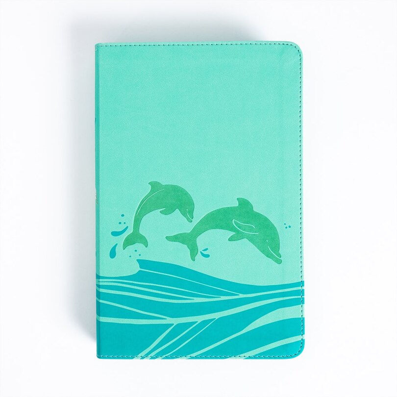 Front cover_KJV Easy-for-Me Bible for Early Readers, Seafoam LeatherTouch