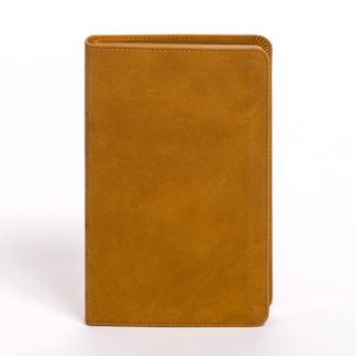 Couverture_KJV Personal Size Bible, Camel SuedeSoft LeatherTouch