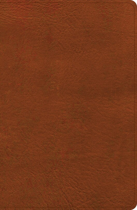 Front cover_NASB Personal Size Giant Print Bible, Burnt Sienna LeatherTouch, Indexed