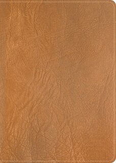 Couverture_CSB He Reads Truth Bible, Holman Handcrafted Collection, Saddle Brown Premium Calfskin