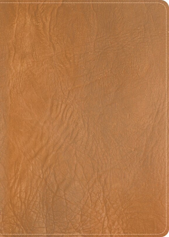Couverture_CSB He Reads Truth Bible, Holman Handcrafted Collection, Saddle Brown Premium Calfskin